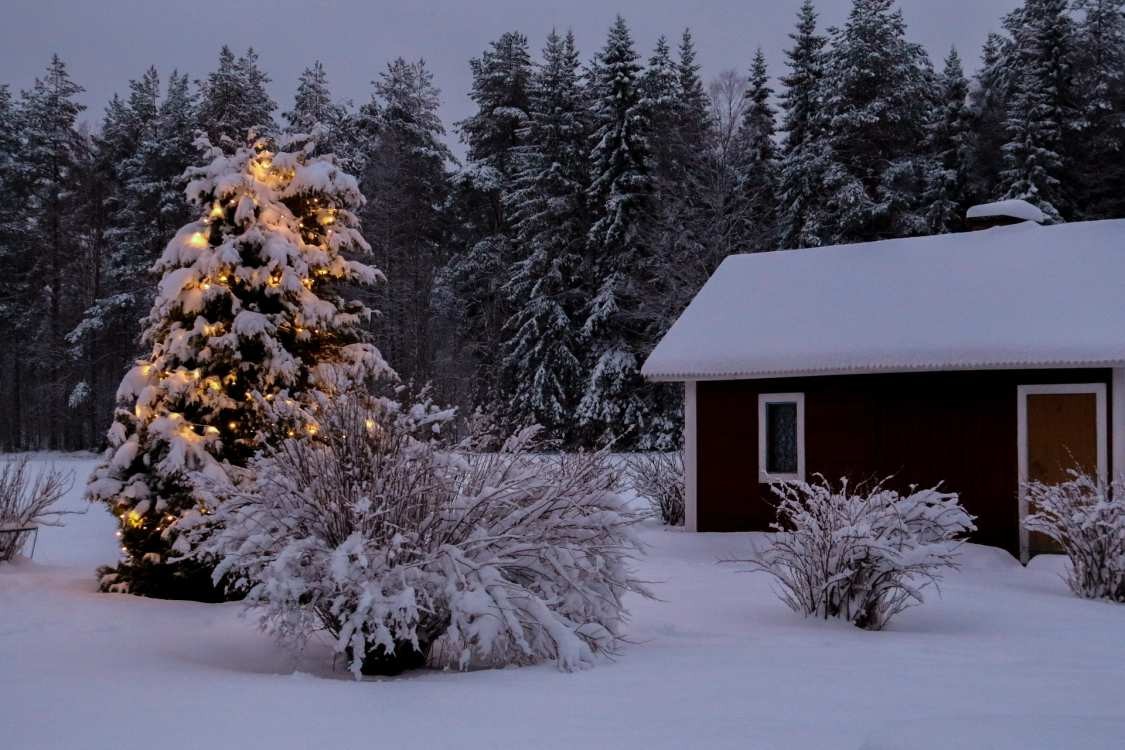 holiday home for christmas